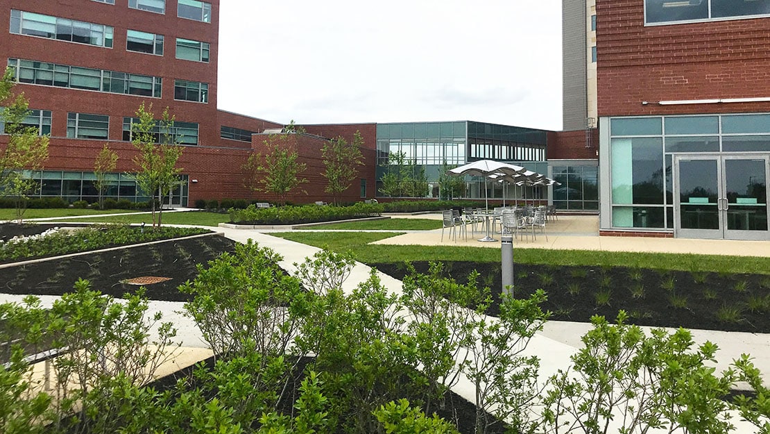 GPD Case Study | Connecting Patients to Nature at Mount Carmel Grove ...